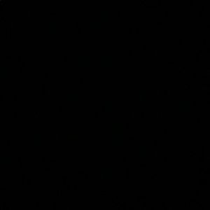 Meet your Posher, Rory